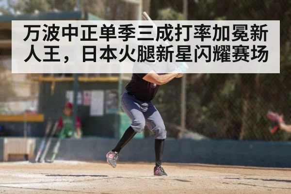 万波中正单季三成打率加冕新人王，日本火腿新星闪耀赛场
